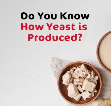 Do you know how is yeast produced? Do you know how is yeast produced?