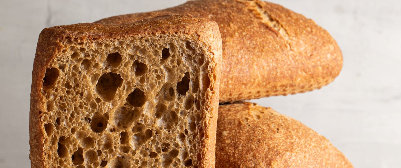 Hemicellulase Hemicellulase