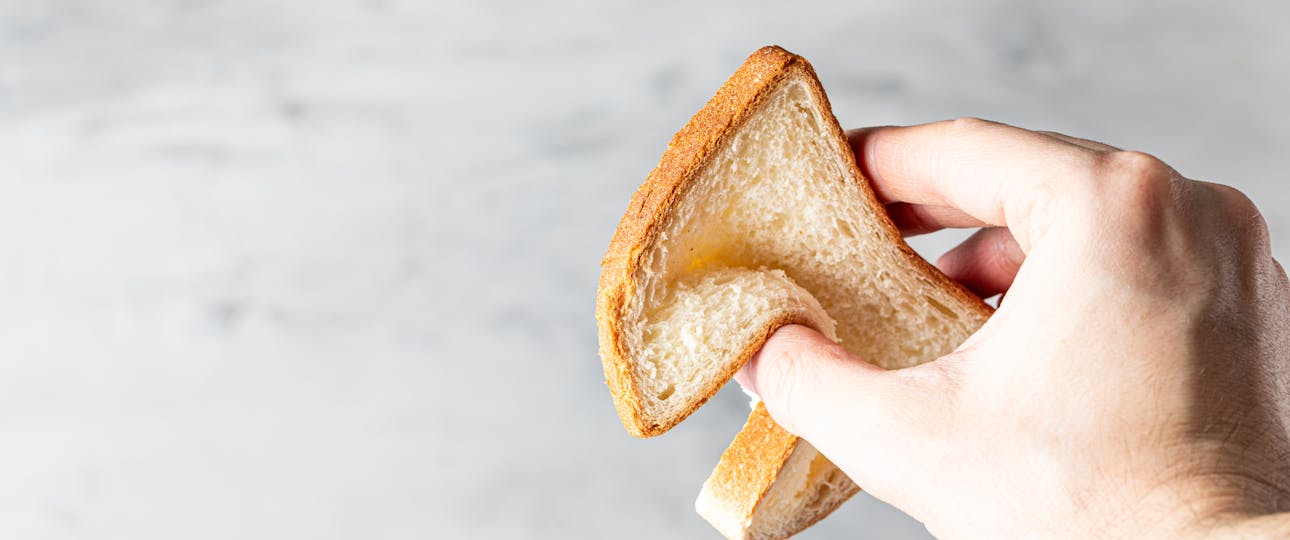 Hemicellulase Hemicellulase