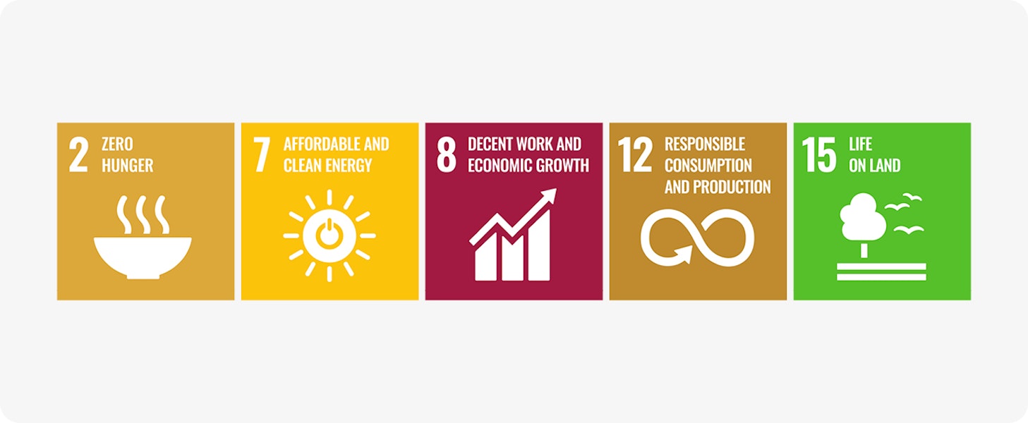 SDG Sustainable Fuels