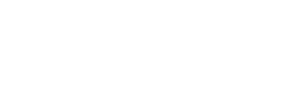 Wound Evolution Website Logo