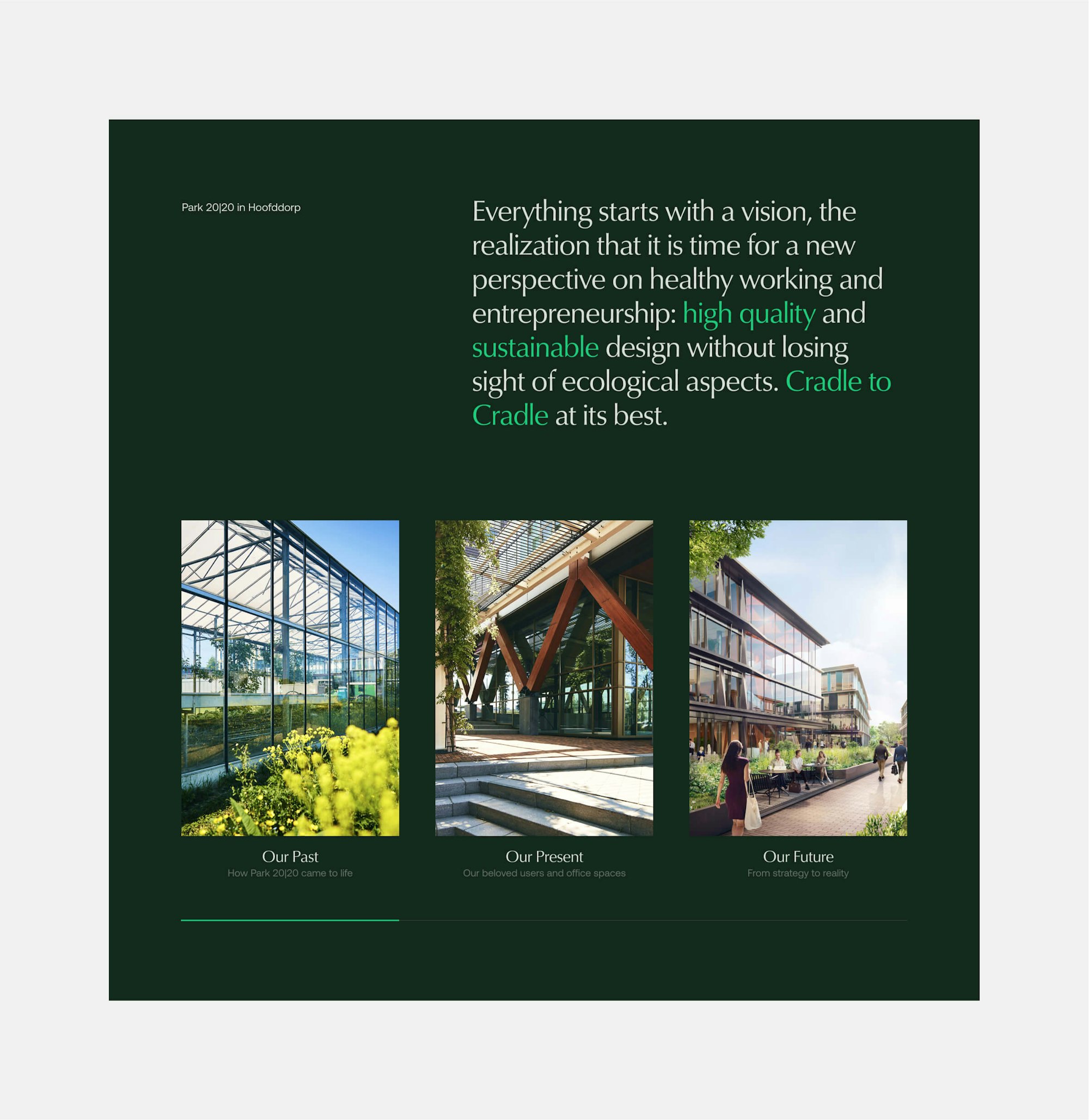 park 2020 website green background timeline