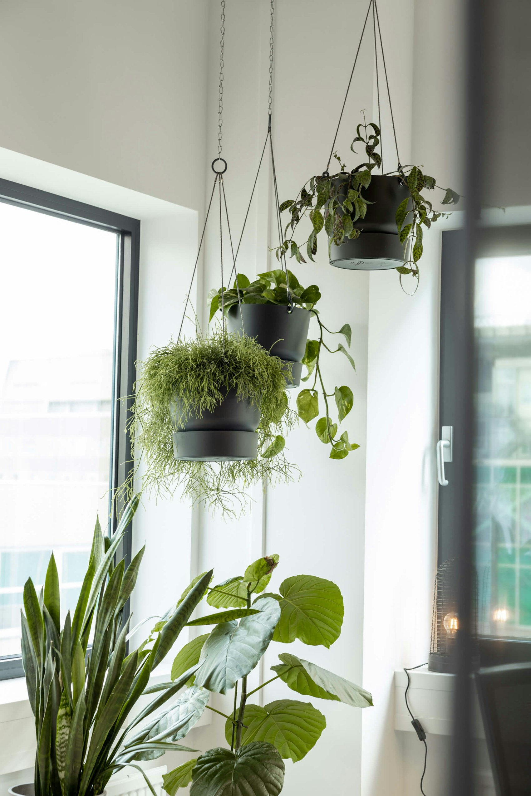 stuurmen-office-interior-plants