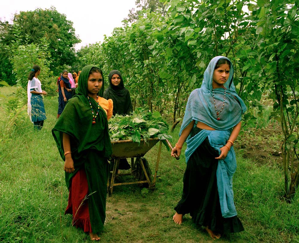 Trainees at the Barli Development Institute for Rural Women in Indore, India, grow most of their own food. They are taught that caring for the environment is a spiritual responsibility, as well as an important service to the community.| Students are also taught about planting and maintaining trees, finding local sources for seeds, the use of environmental and energy conservation techniques such as composting, vermiculture, the use of biodegradable products, and proper waste management.