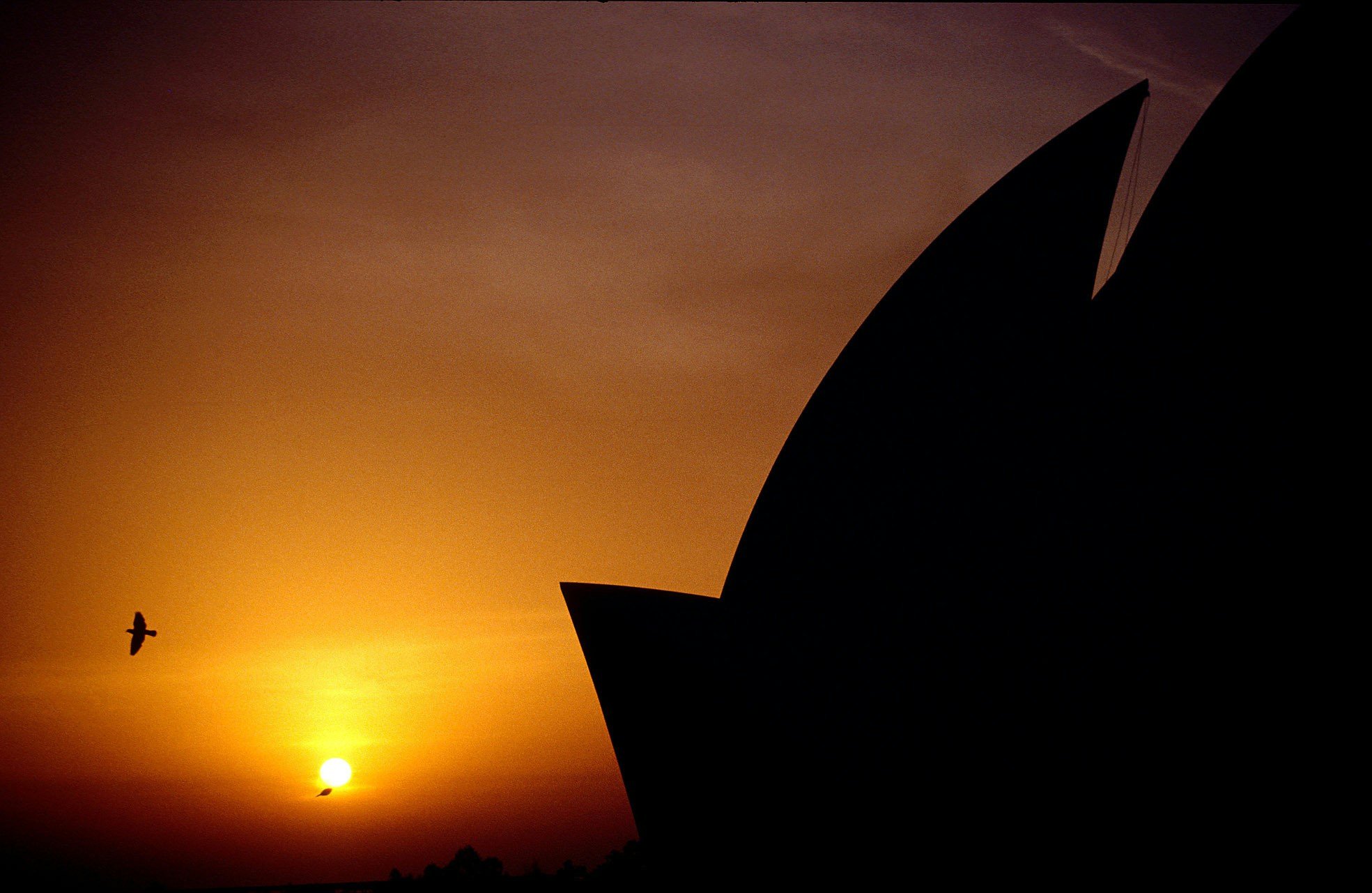 Baha'i House of Worship in New Delhi, India.| From a photographic exhibition by Francisco Gonzalez, entitled "Architects of Unity".