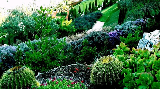 View from the informal gardens of the upper terraces. Photo by Rouhulah Ferdowsian.