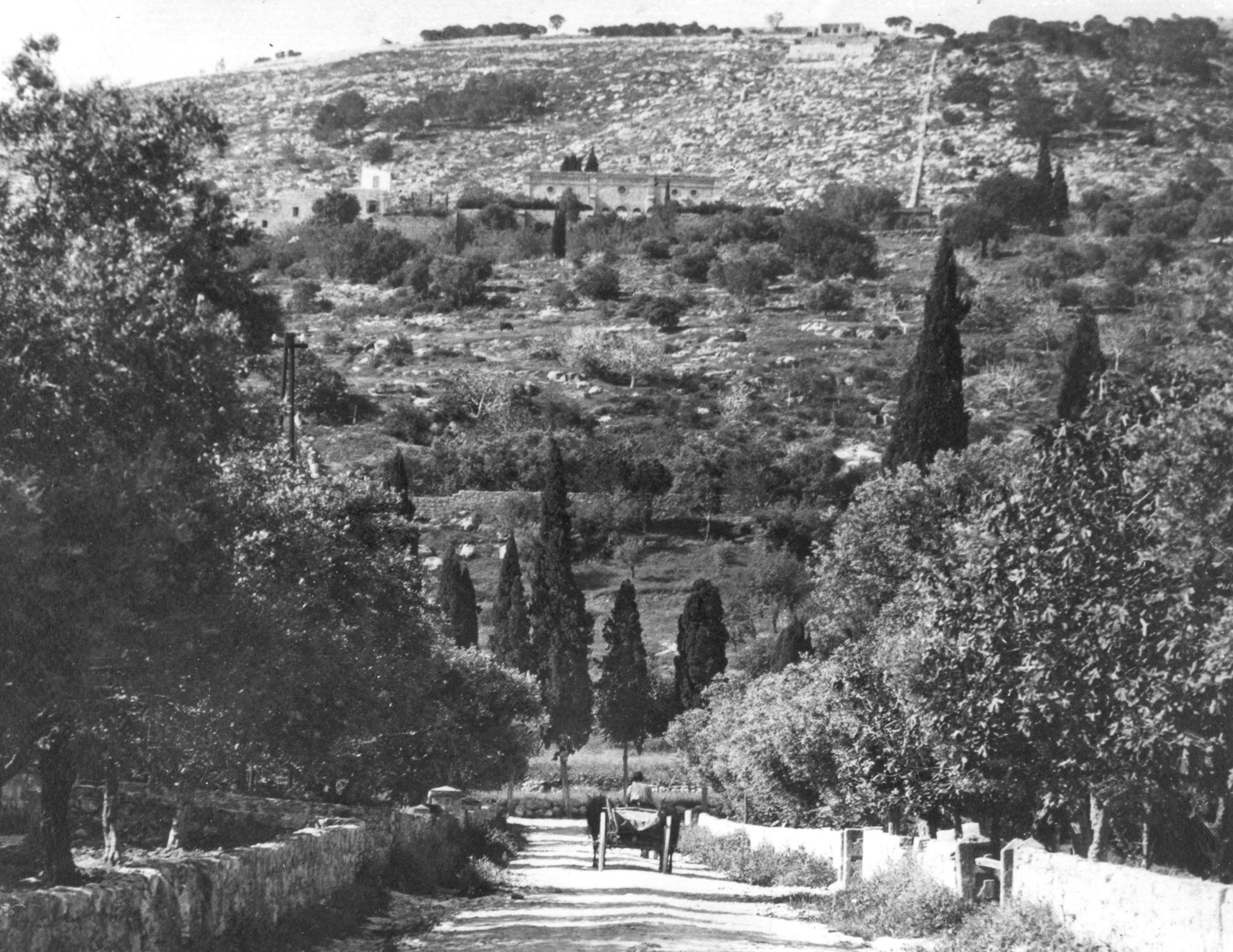 Mount Carmel and the Shrine of the Bab, 1909. The superstructure of the Shrine was completed in 1953.