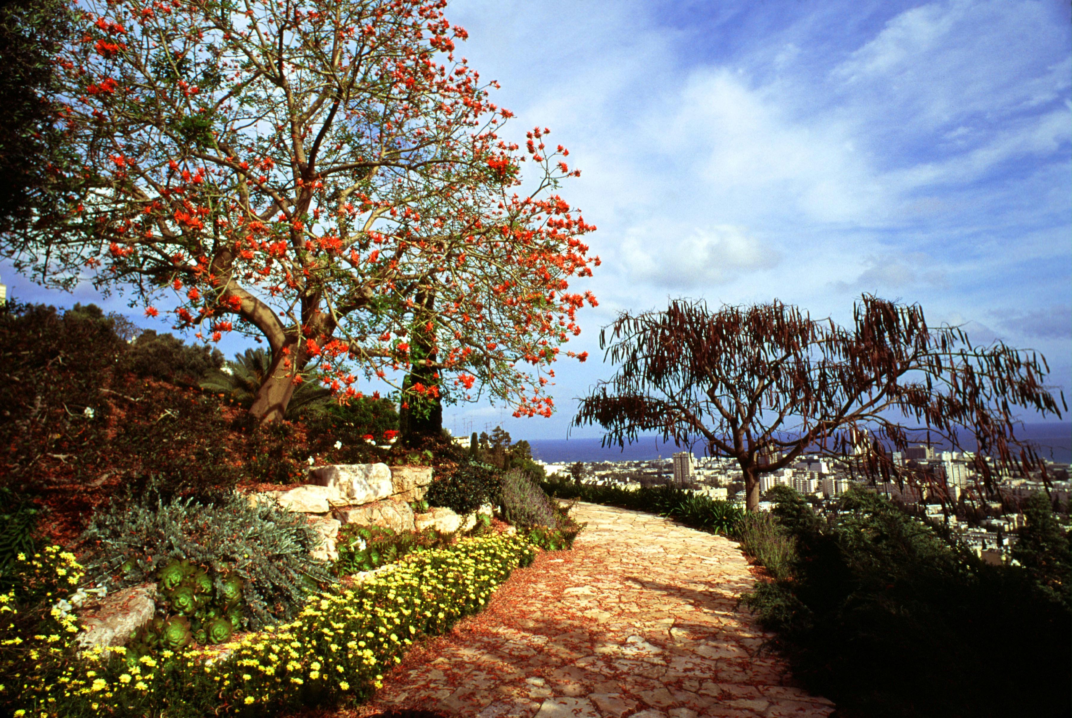 A pathway through the informal gardens.