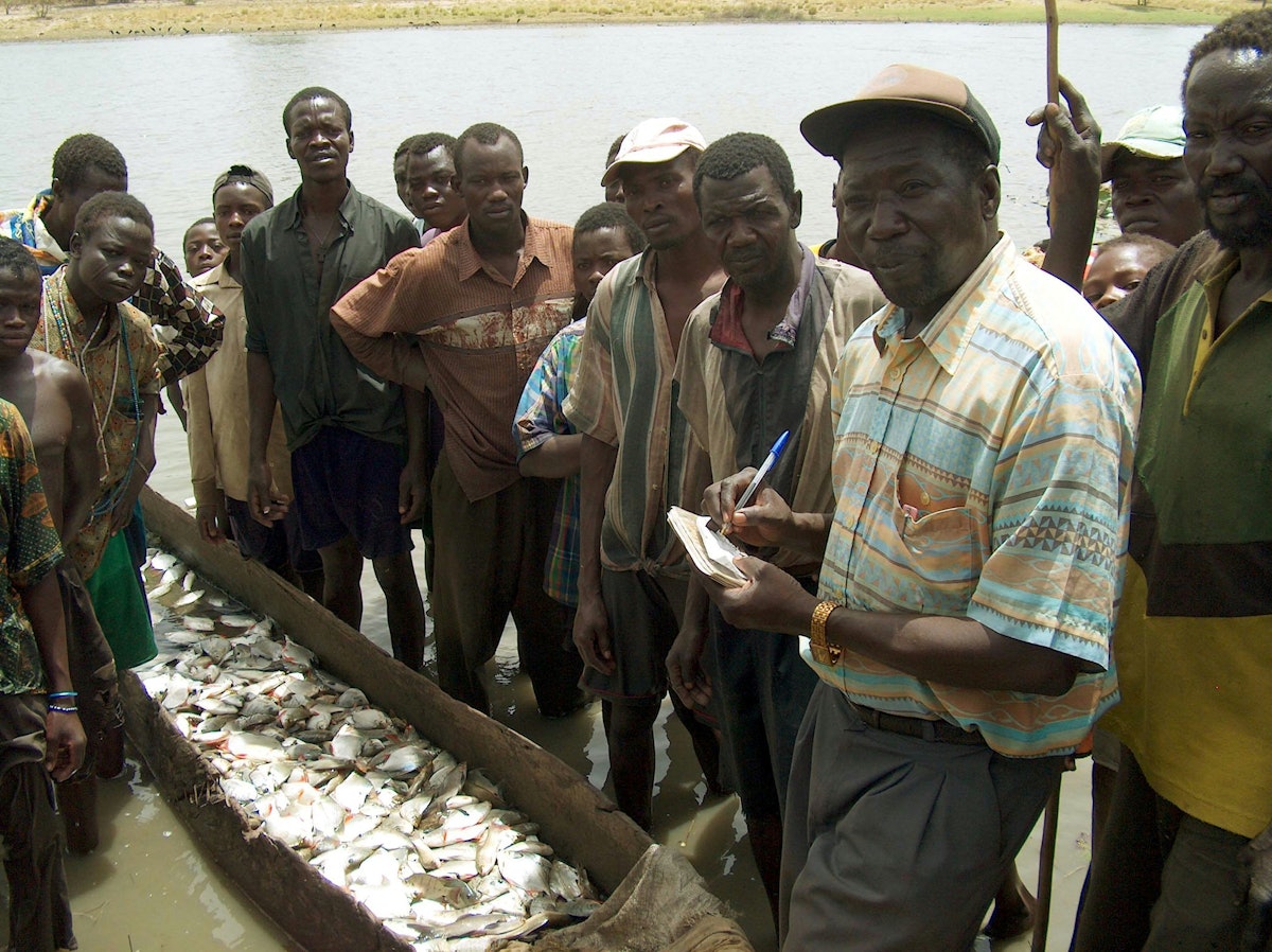 David Ngakele, zone coordinator for APRODEPIT (second from right), examines the initial catch of fish in Kodjoguila.