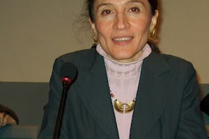 Dr. Haleh Arbab Correa, representing the Baha'i-inspired development organization FUNDAEC, participated in a high level panel during the UN review of the Copenhagen Social Summit.