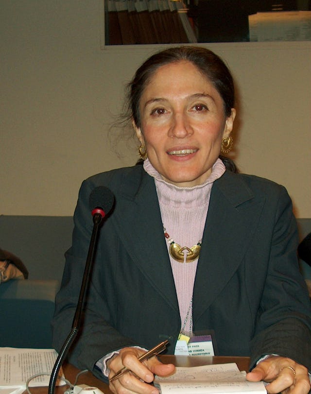 Dr. Haleh Arbab Correa, representing the Baha'i-inspired development organization FUNDAEC, participated in a high level panel during the UN review of the Copenhagen Social Summit.