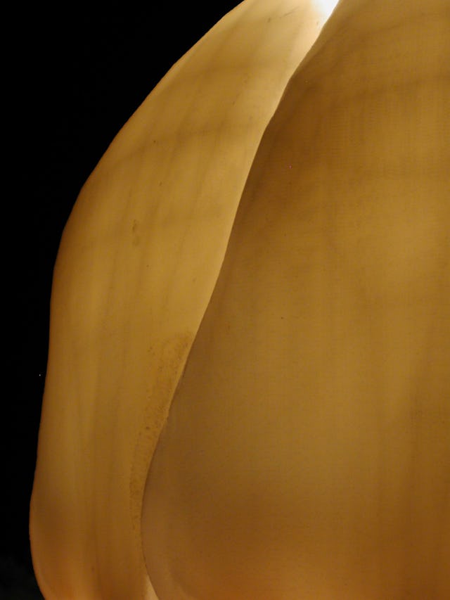 The alabaster "wings" of the Baha'i Temple for South America will be translucent.