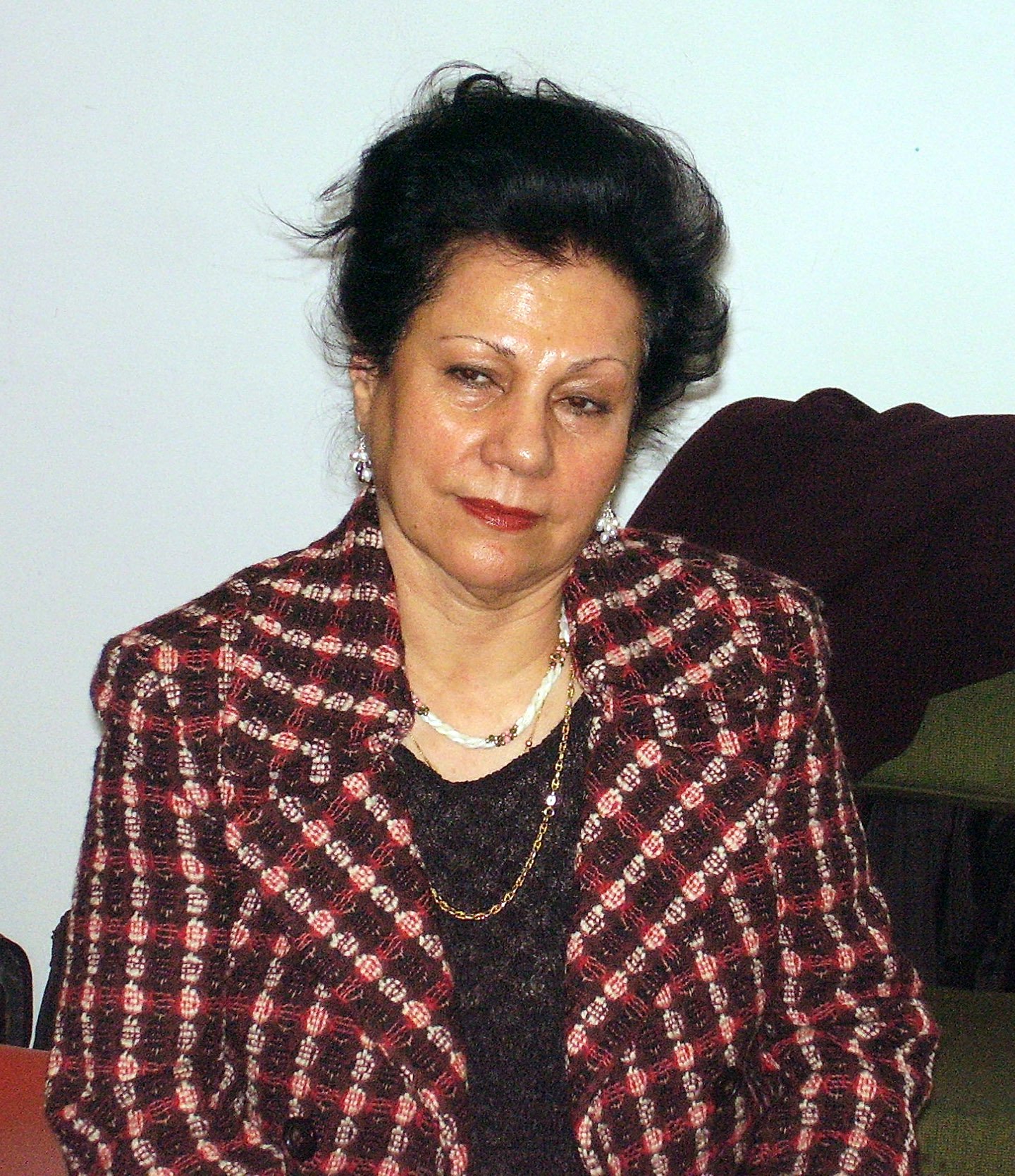 Mehri Afsahi represented not only the National Spiritual Assembly of Sweden but also the Swedish UNIFEM Committee and the Swedish Women's Lobby.