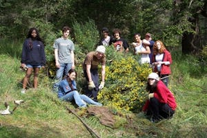 For 15 years, Maxwell students have had a key role in the Portland Island Marine Park Stewardship Program, helping control an invasive plant and documenting progress. These students participated this past year.