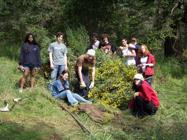 For 15 years, Maxwell students have had a key role in the Portland Island Marine Park Stewardship Program, helping control an invasive plant and documenting progress. These students participated this past year.