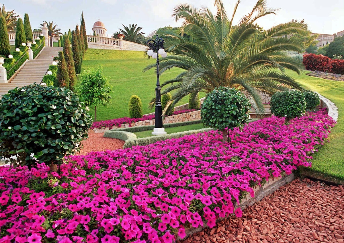 Baha'is this year mark the 188th anniversary of the Birth of the Bab. The photo shows gardens at His burial site in Haifa, Israel.