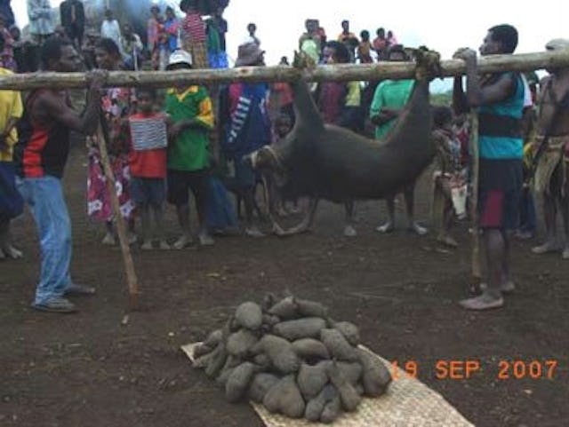 A festive meal – with a wild boar cooked outdoors – was part of the celebration for the new school buildings.
