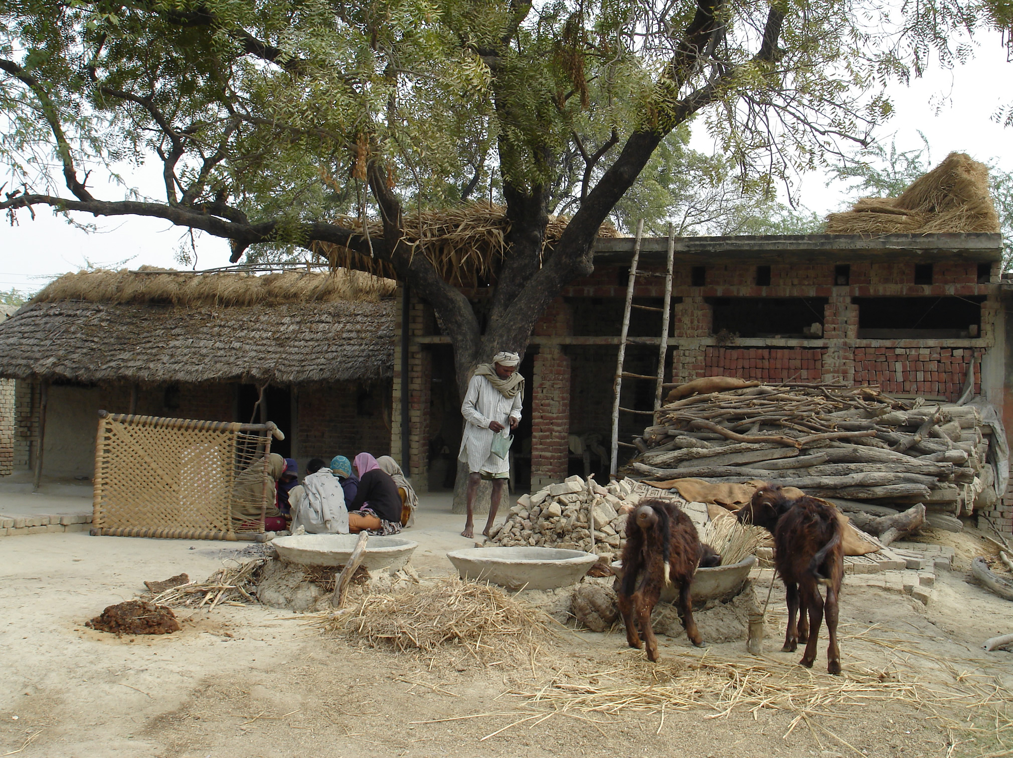 A typical scene in a village in Banthra block where Brajesh Kumar operates a community school.