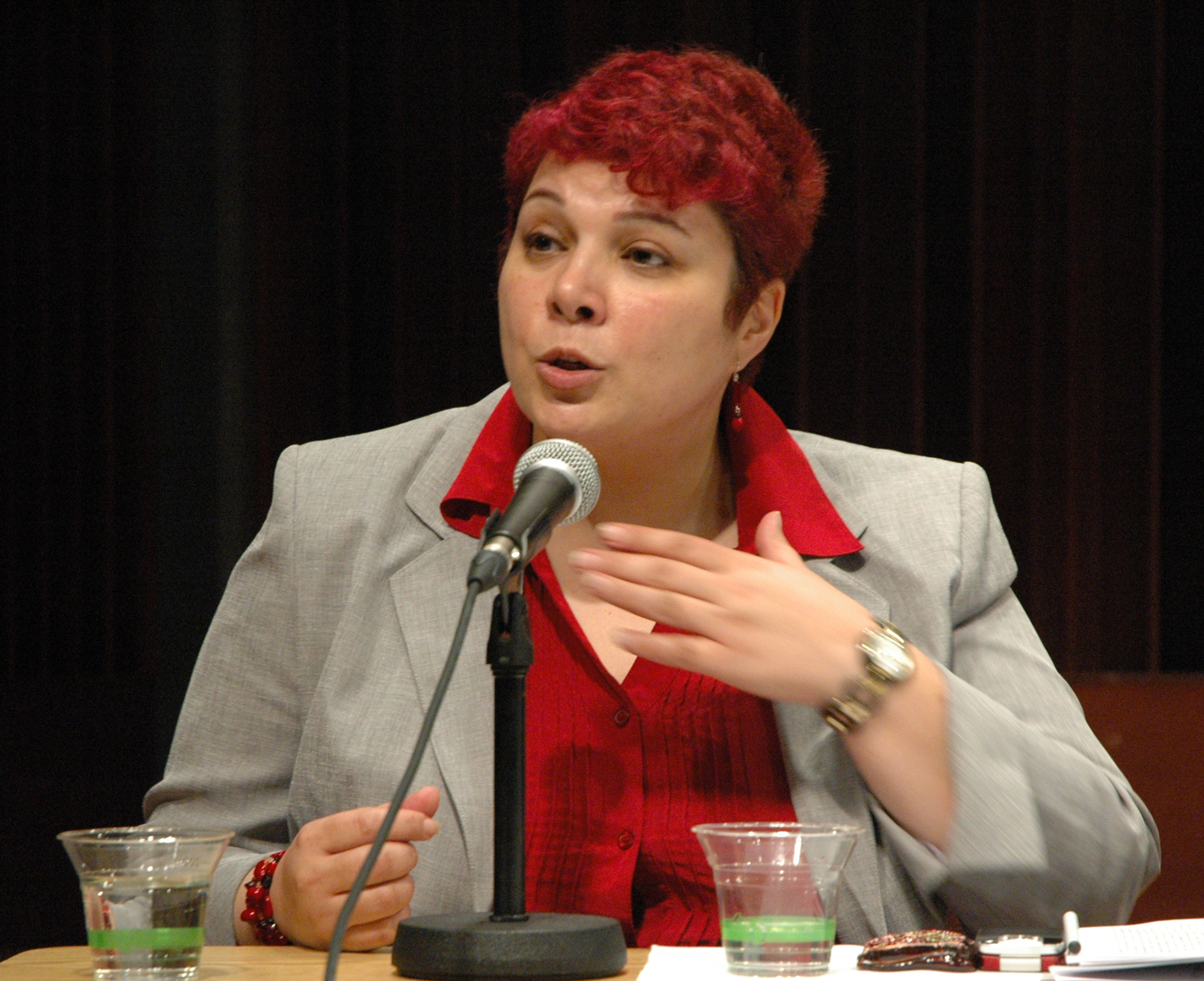Former environment minister of Iraq, Mishkat Al Moumin – now director of the Washington-based Women and Environment Organization – addressed a seminar on human rights and religious freedom, sponsored by the Canadian Baha’i community, held in Winnipeg on Monday, 21 June. It is often environmental problems – such as a basic lack of a water or hygiene – that drive people to violence, and not necessarily religious belief, Dr. Al Moumin told the gathering.