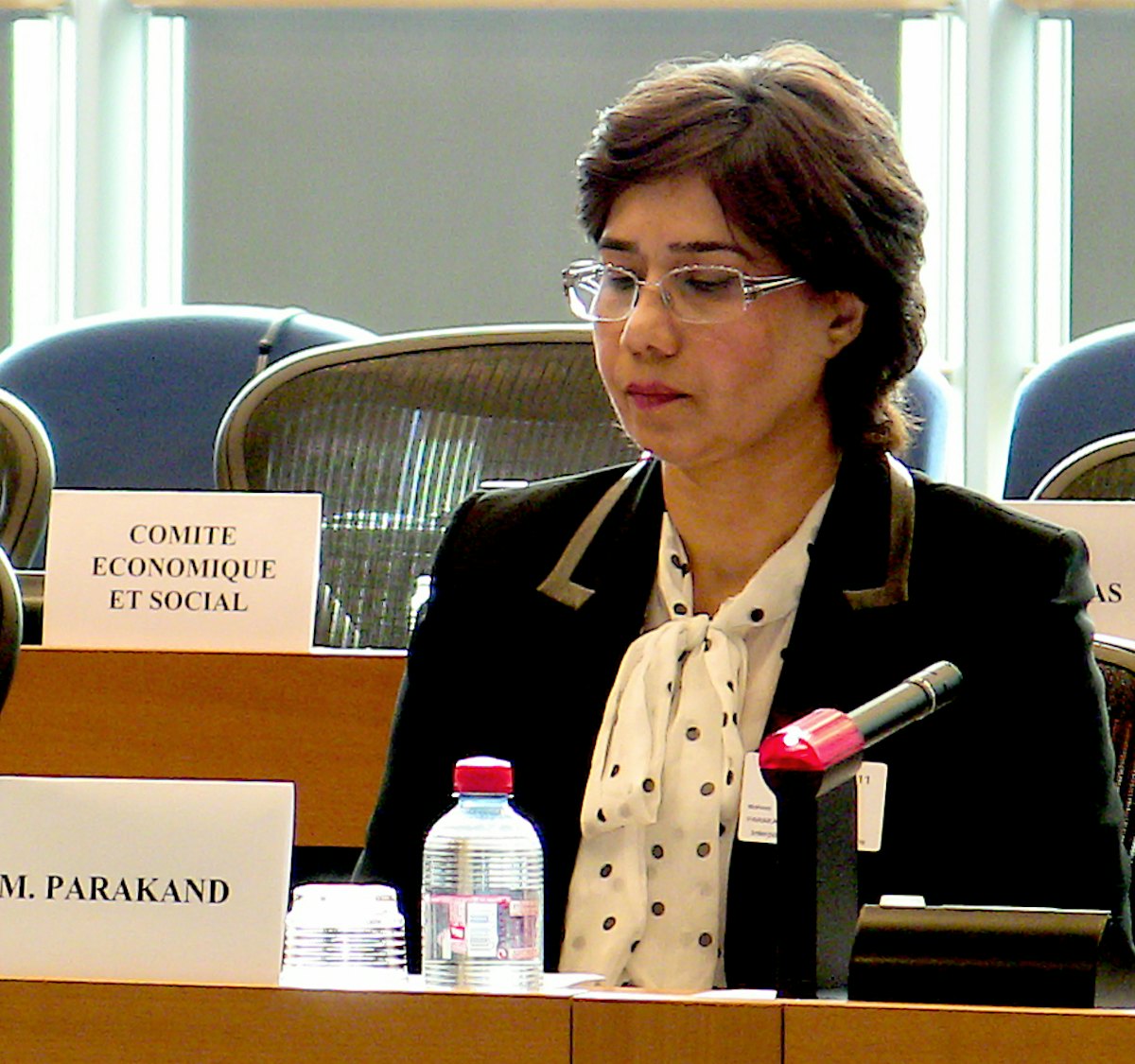 Mahnaz Parakand, one of the lawyers for Iran's seven imprisoned Baha'i leaders, spoke at a meeting held at the European Parliament in Brussels, 28 June 2011. "The pain and suffering that the Baha'is have to endure are in addition to the cruelties suffered by all the people of Iran," said Ms. Parakand.