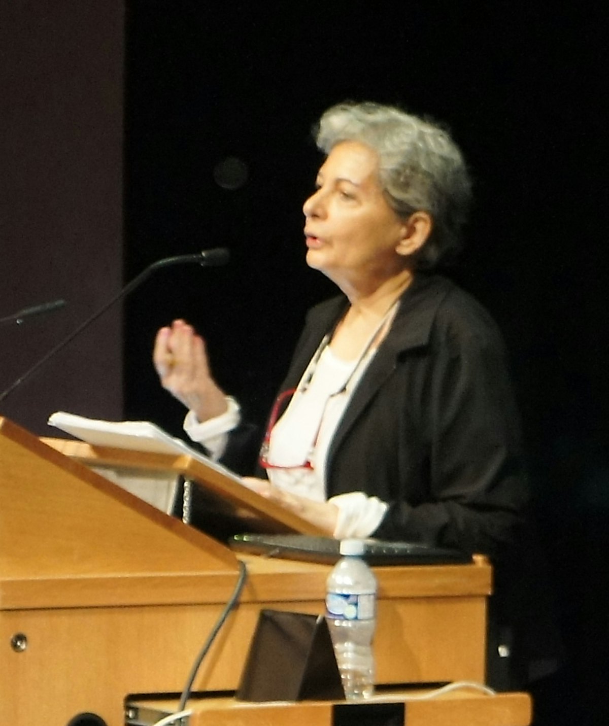 Mehrangiz Kar – a prominent Iranian lawyer and human rights activist – speaks about religious discrimination and violence in Iran, at the conference on "Intellectual Othering and the Baha'i Question in Iran," held at the University of Toronto, 1-3 July 2011.