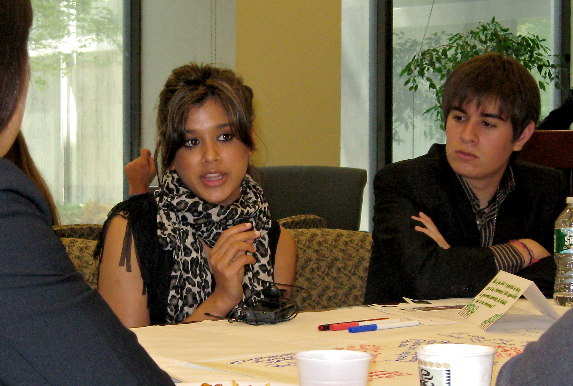 Youth from around the world discussed issues of sustainable development at a workshop held in the UN offices of the Baha'i International Community on Tuesday 26 July. Titled "Our Voices, Our Aspirations: A Youth Dialogue on Sustainable Development," the workshop was held in conjunction with the UN High Level Meeting on Youth, 25-26 July 2011.