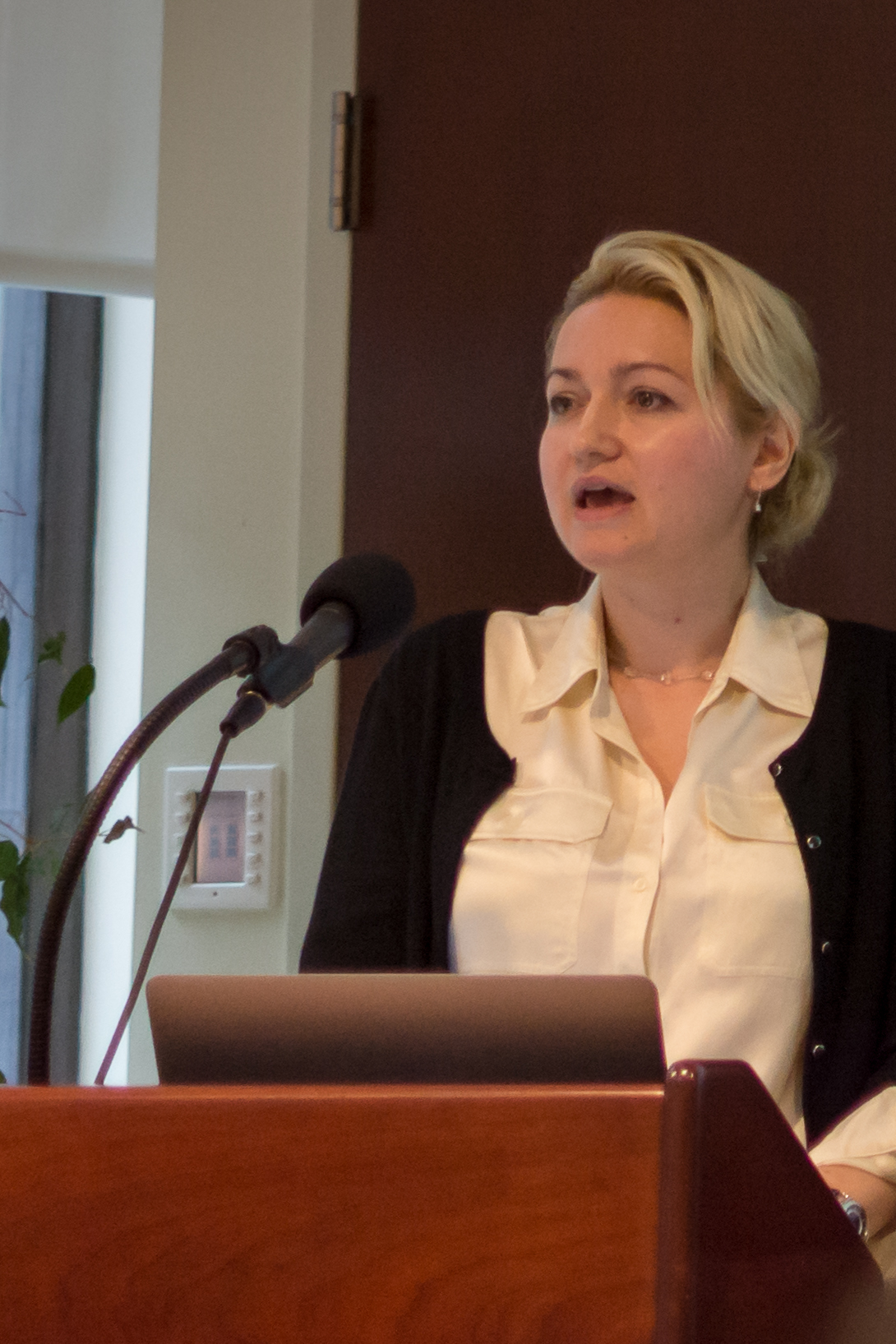 دکتر بوريسلاوا مانوژلوويچ، رئيس بخش پژوهش، مدرسۀ علوم سياسی و روابط بين‌الملل در دانشگاه سه‌تون هال.