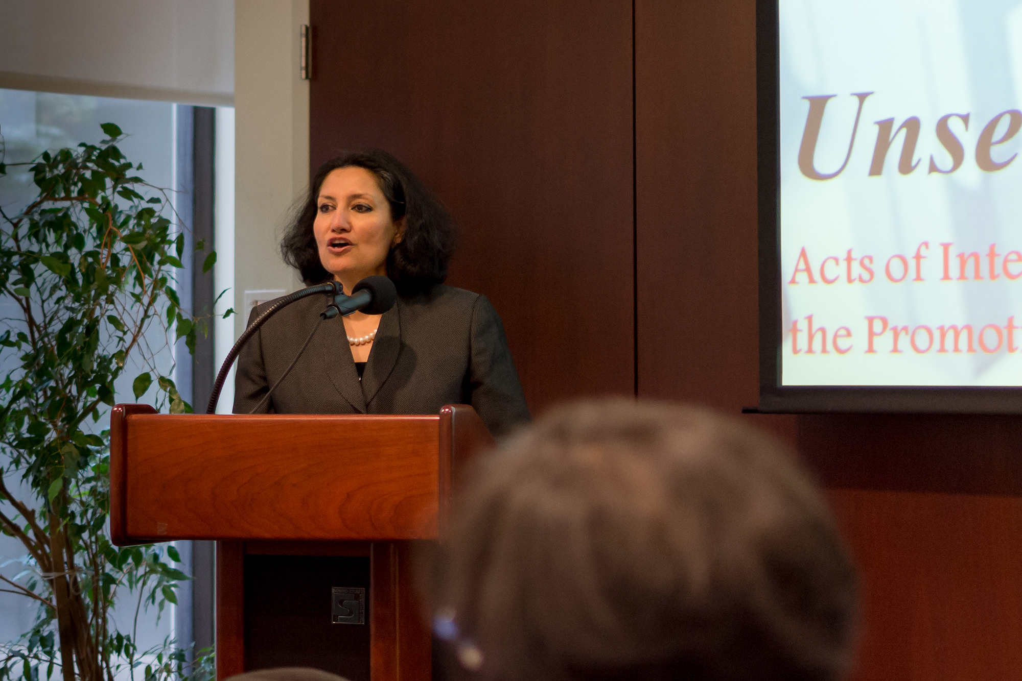 بانی دوگال، نمايندۀ ارشد جامعۀ جهانی بهائی در سازمان ملل، در حال سخنرانی در نشست «قهرمانان گمنام» اقدامات دلیرانۀ میان‌ ادیان برای ترویج آزادی دين یا عقیده».