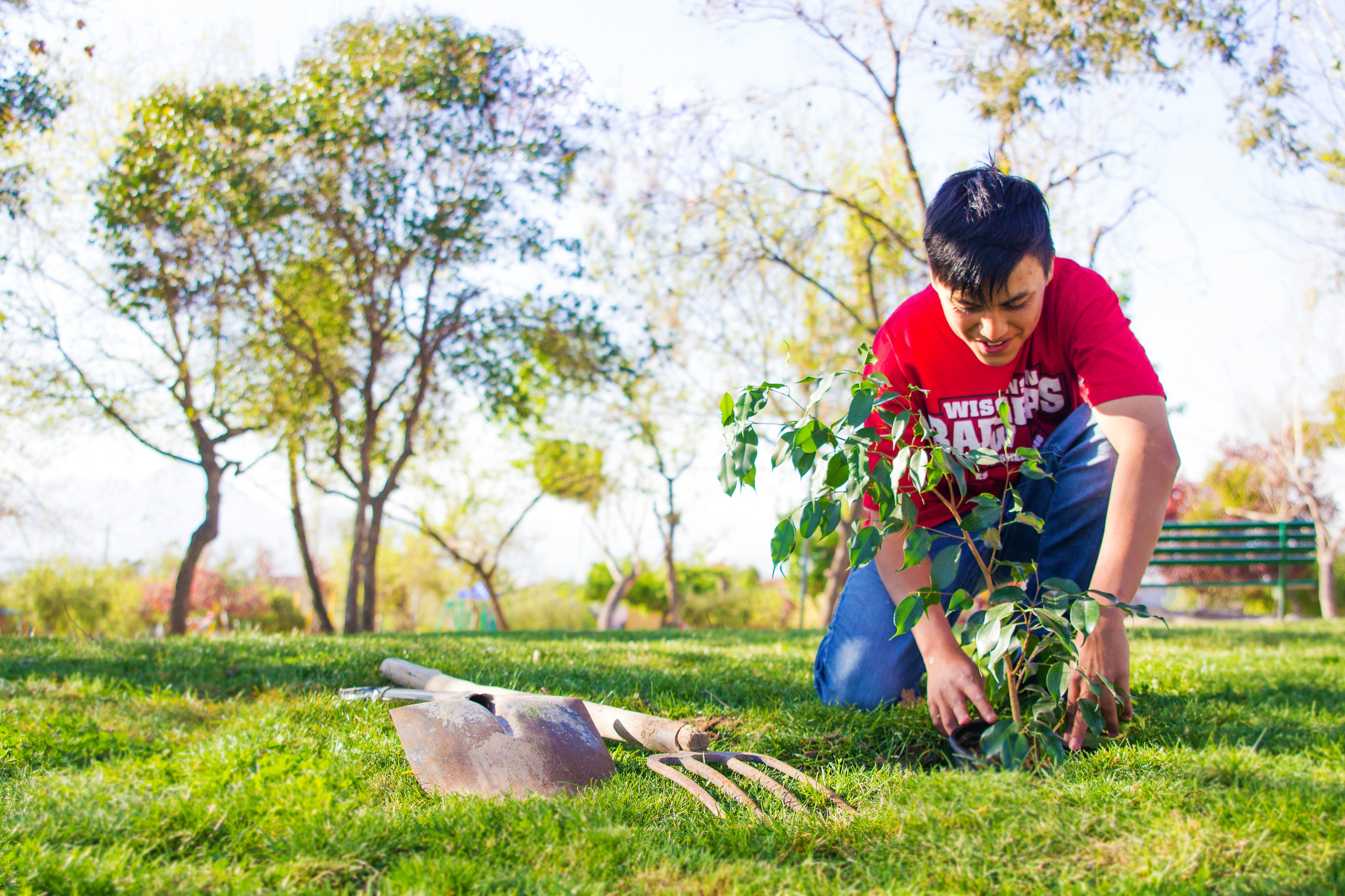 A youth plants a tree in Penalolen as part of community-building initiatives that are parallel to the construction of the House of Worship.