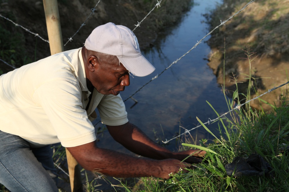 Don Hernan Zapata plants new trees along a fence surrounding the site for the House of Worship.