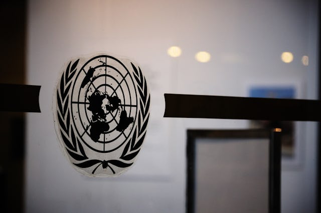 UN logo (by Steve Calcott/Flickr)
