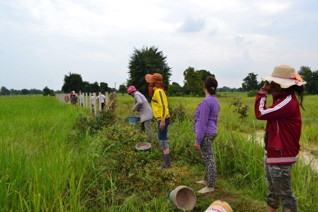 Members of the community work together to build a fence around the Temple land.