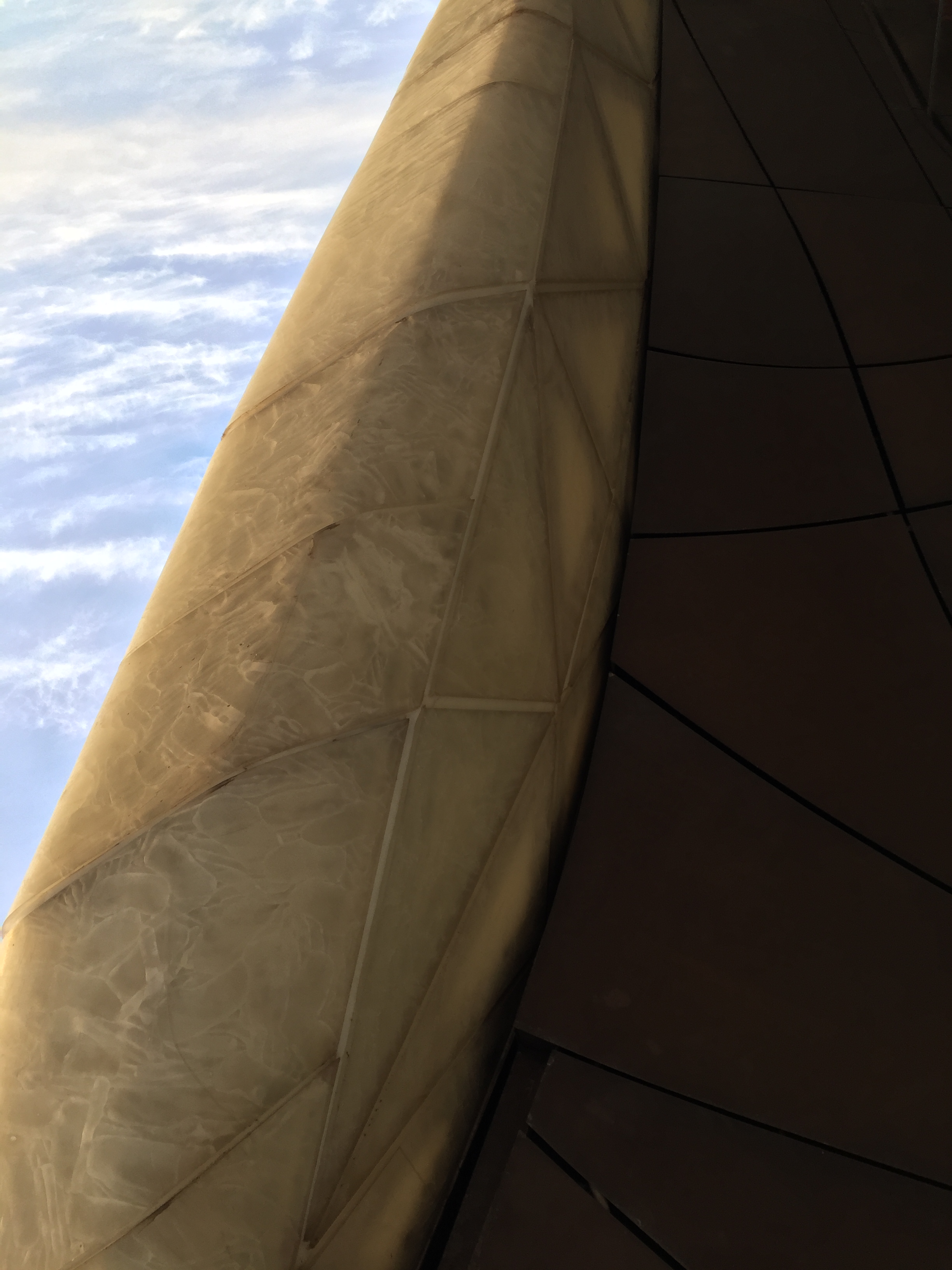 نمایی نزدیک از ورقه‌های شیشه‌ای. دِبرا سونیان گِلِن (Deborah Soonian Glenn) در ماهنامۀ آمریکایی آرکیتکچورال رکورد Architectural Record می‌نویسد «این پوستۀ شیشه‌ای مبتکرانه برای معماران، مهندسان، سازندگان و پیمانکاران این بنا، یک پیروزی محسوب می‌شود. آن‌ها برای کوچک‌ترین جزئیات زحمت بسیار کشیده‌اند تا مطمئن شوند که شیشه قالب‌گیری شده، آب و هوای سخت و خشک کوهپایه را تاب می‌آورد.»