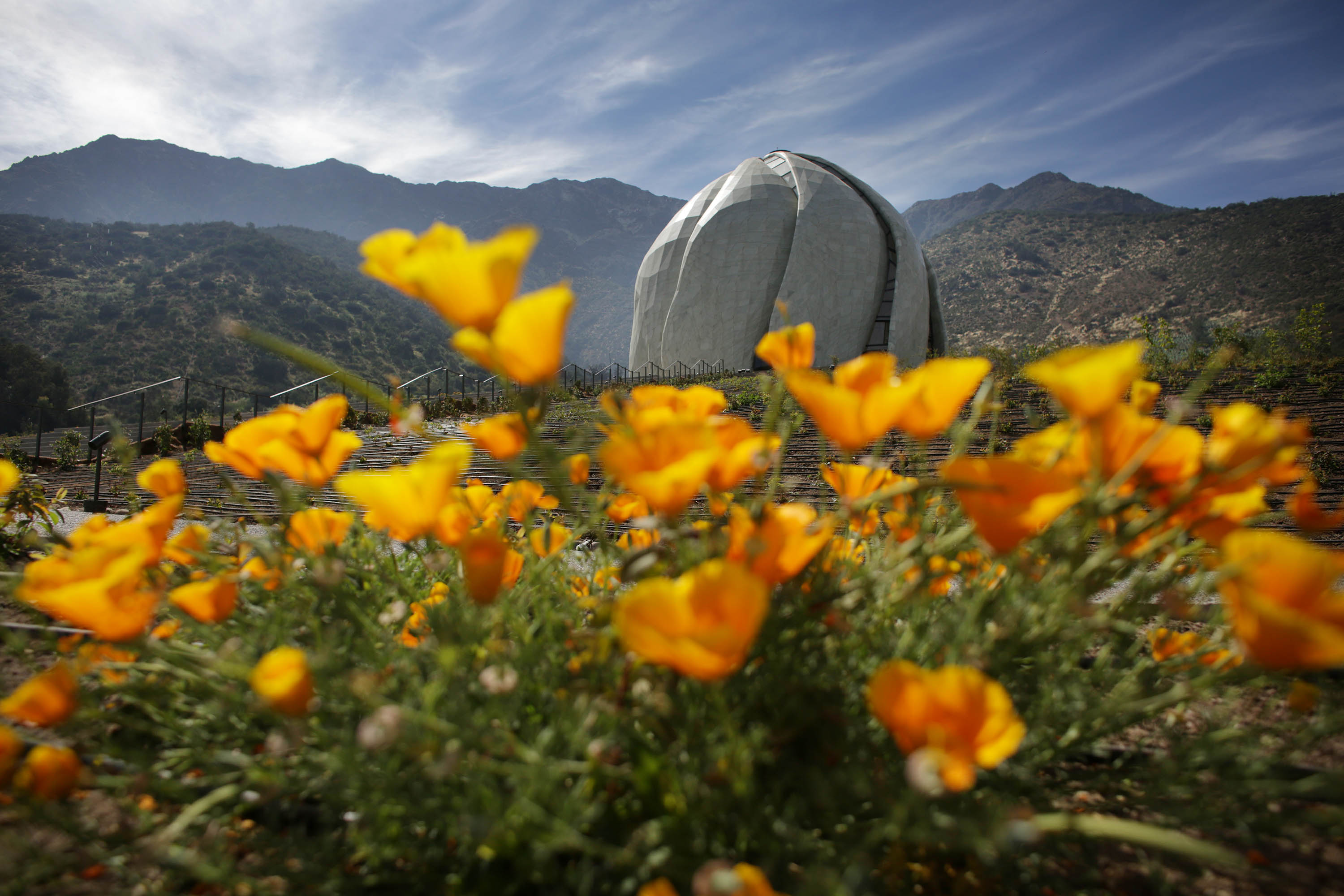 Flowers in the gardens of the House of Worship
