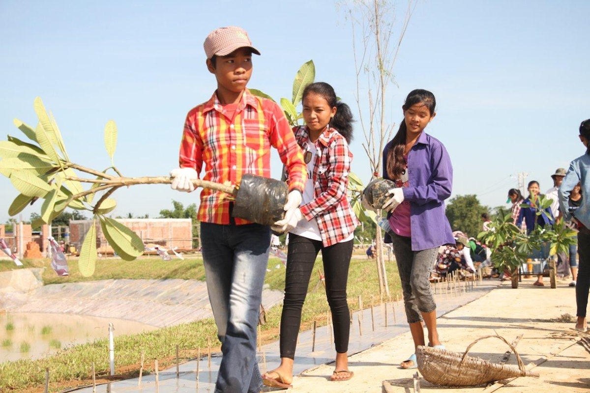 Youth volunteers carry frangipani plants.