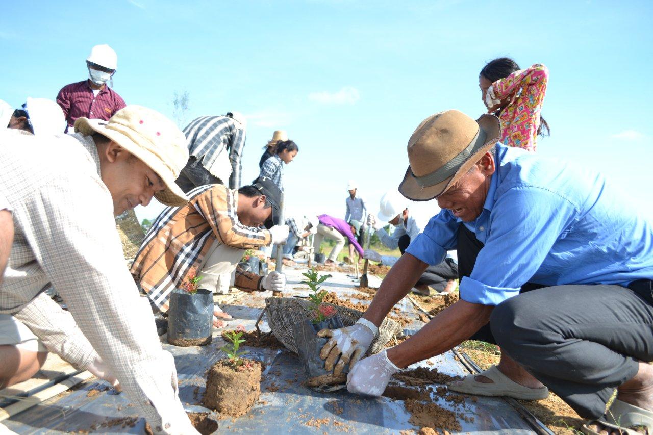 A spirit of joy animated a recent collective gardening event at the site of the Temple in Battambang.