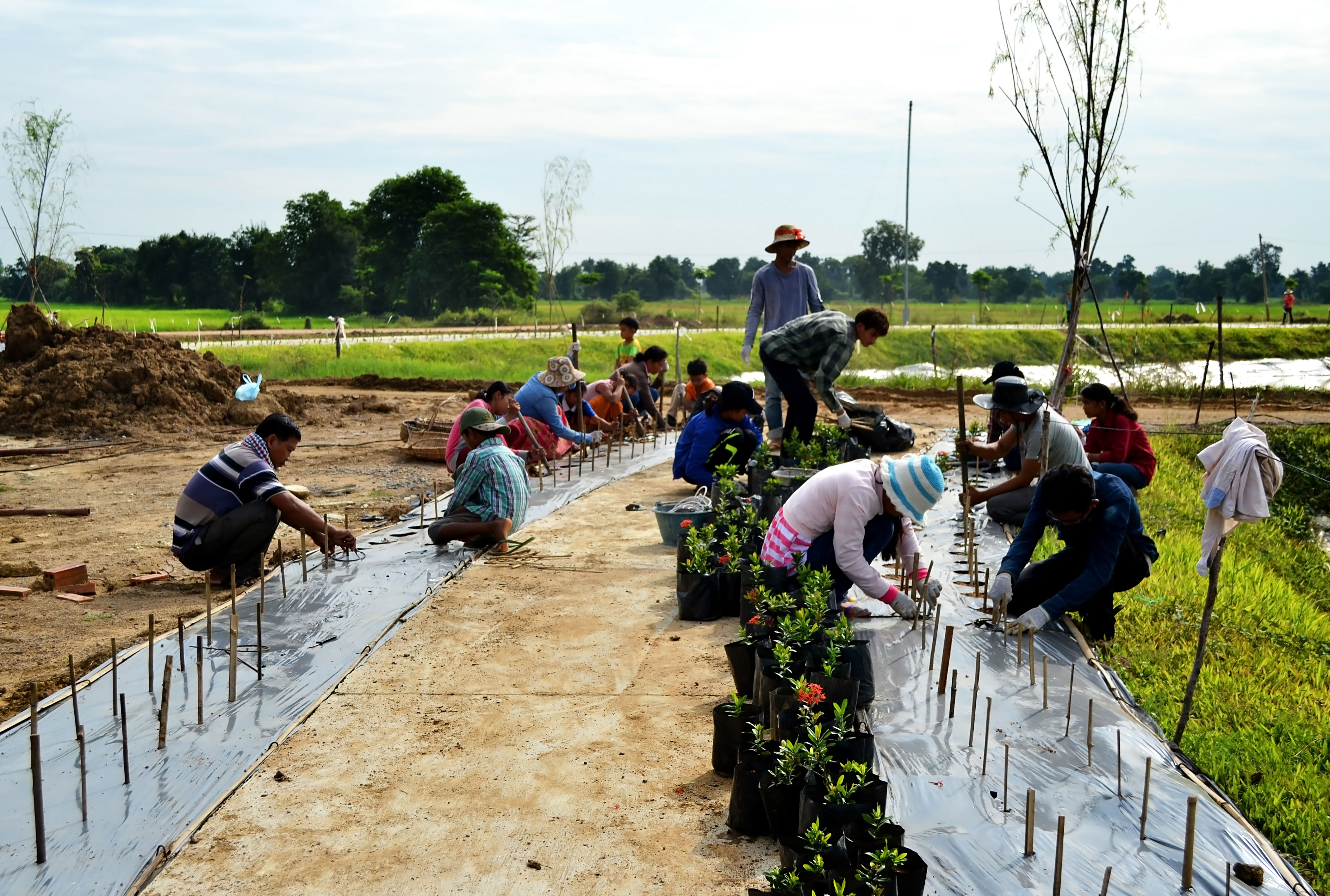 Volunteers working side by side in a day-long community gardening initiative.