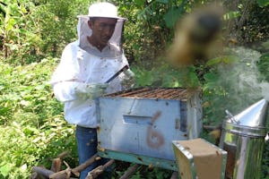 The SAT program bridges theory and practice by giving students the chance to learn mathematics and science in the context of agriculture and other practical endeavors.