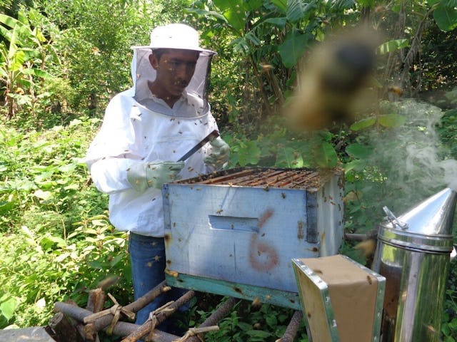 یکی از برنامه‌هایی که در گزارش این مؤسسه به آن اشاره شده است پروژه‌ای الهام گرفته از تعالیم بهائی با عنوان «سَت» (نظام یادگیری راهنما-محور) است