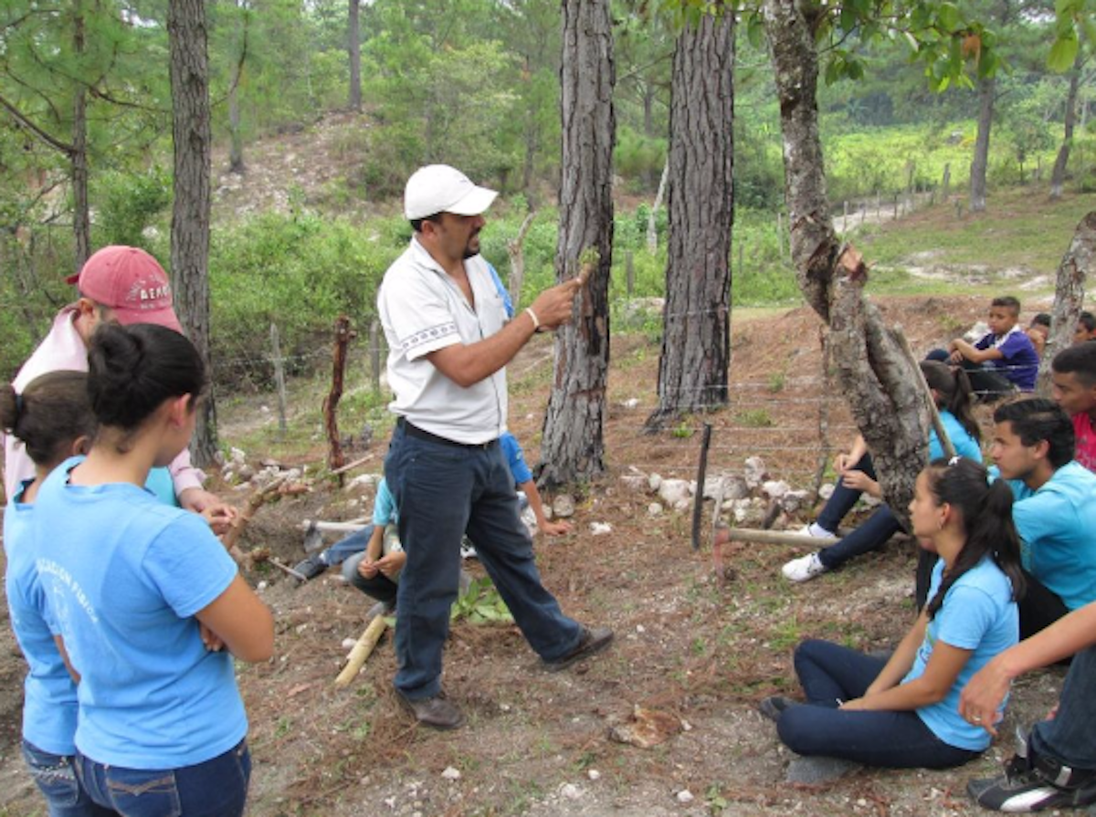 A SAT tutor discusses the planting of yucca to students in Honduras