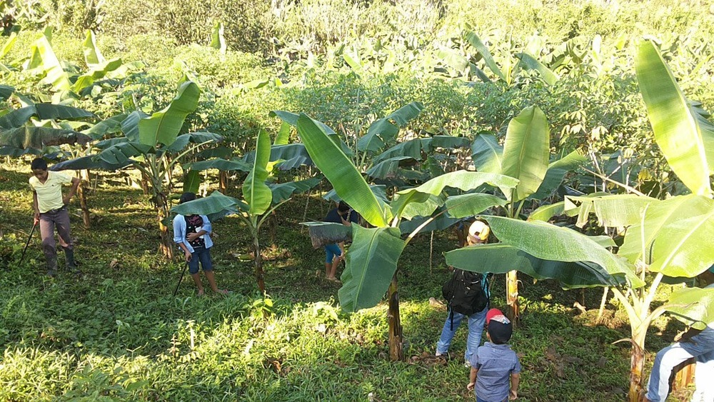 SAT students learning about agriculture