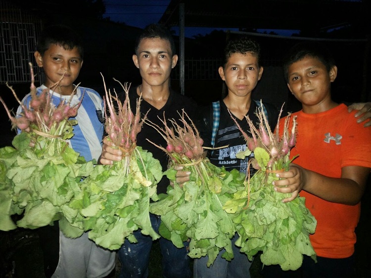 SAT students show the fruits of their efforts