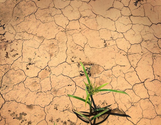 "The focus on resilience captures an important insight: conflict-affected communities should be looked at through the lens of strength and potentiality, not fragility," wrote the BIC in its statement to the European Commission.