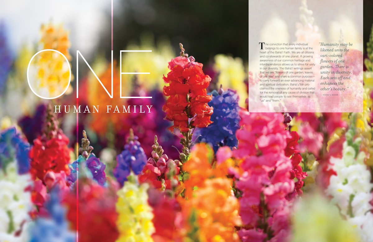 "One Human Family" is among the topics explored in The Baha'is. "The conviction that every individual belongs to one human family is at the heart of the Baha'i Faith," reads the introduction to the section.