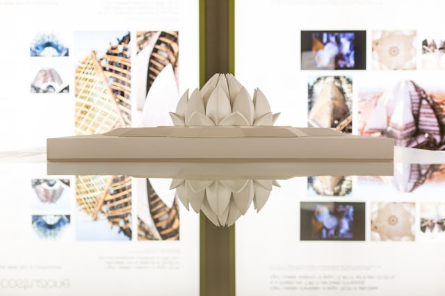 The Lotus Temple in India, which was built with marble cut and chiseled by the Margraf firm in Italy, is among the buildings featured in the Palladio Museum exhibition.