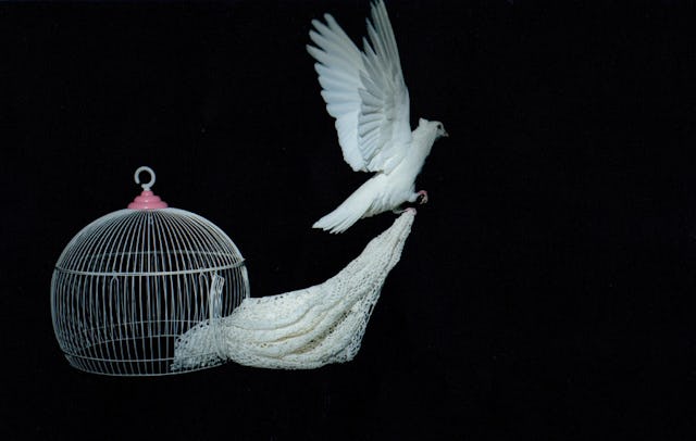 A group of five Baha’i women prisoners and five other prisoners of conscience created a white silk crochet in honour of the bicentenary. They then used the crochet to create a photographic composition to give voice to their sentiments.