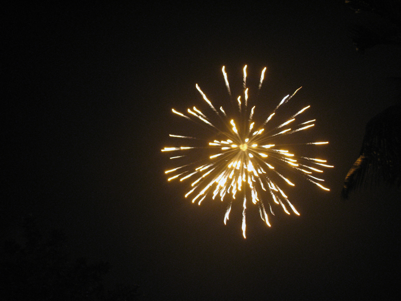 The 1,500 people who made it to Kolkata, India, for the conference in that city were treated to a fireworks display on the first night of the event. Some 30 Baha’is from Bangladesh had waited up to three days in line at a consulate to get the necessary visa.