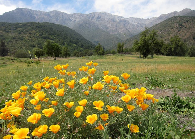 The beautiful location of the site of the Baha'i House of Worship for Chile, in the hills of Peñalolén, a "commune" within metropolitan Santiago, at the foot of the Andes.