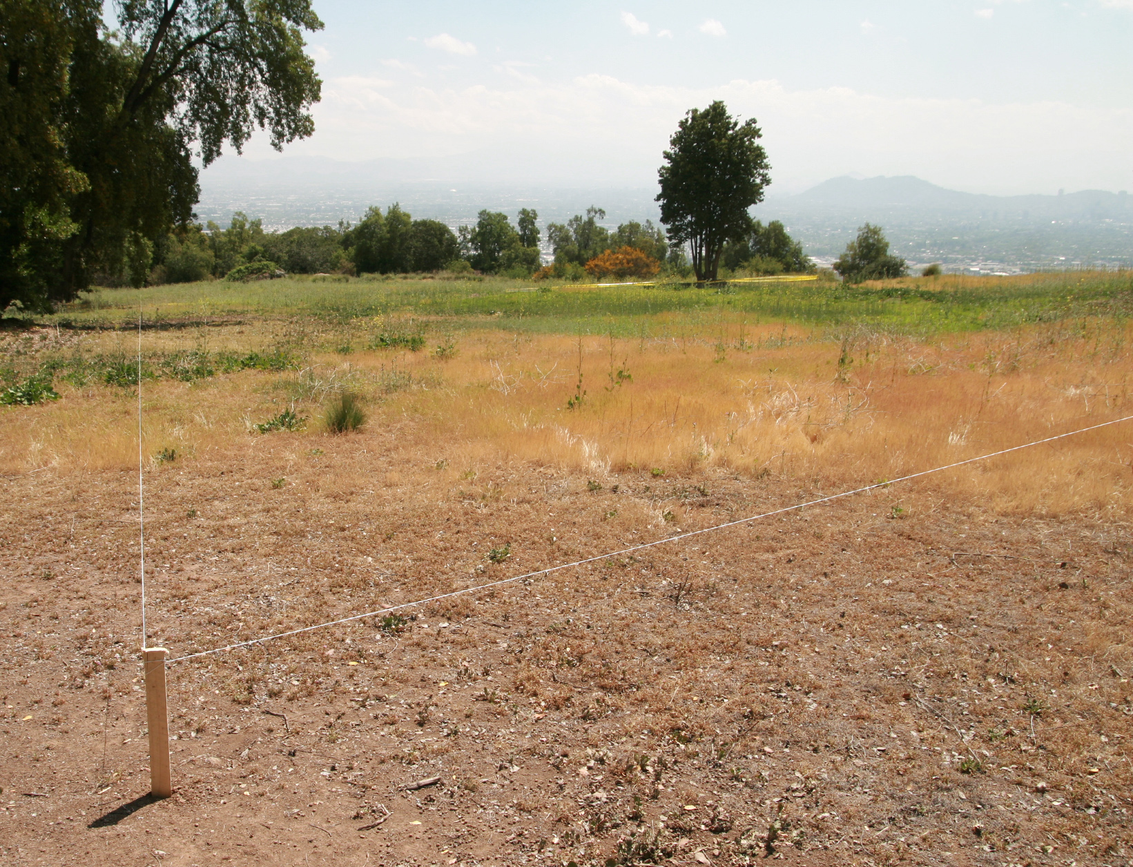 محدودۂ زمين مشرق‌الاذکار با علامت‌ها و پايه‌ها مشخص شده است. ساختمان و باغ‌های کناری ان ده هکتار از مجموعۂ پنجاه هکتاری محل را پوشش خواهند داد. کارهای تدارکاتی برای تأسيسات زيرزمينی مشرق‌الاذکار و سيستم باغ‌های آب در اطراف آن آغاز‌ شده است.