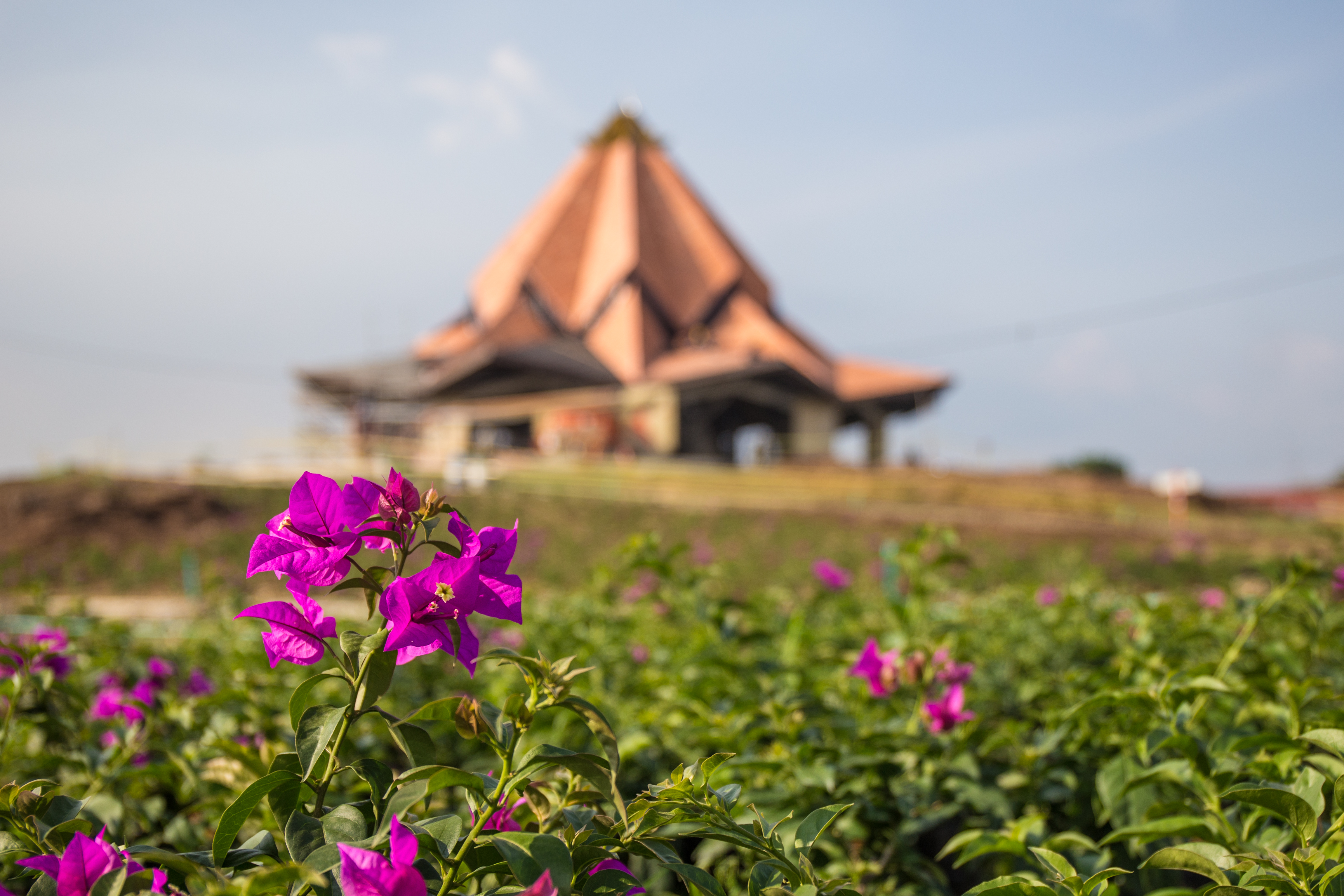 View of the local House of Worship in Norte del Cauca from the surrounding gardens